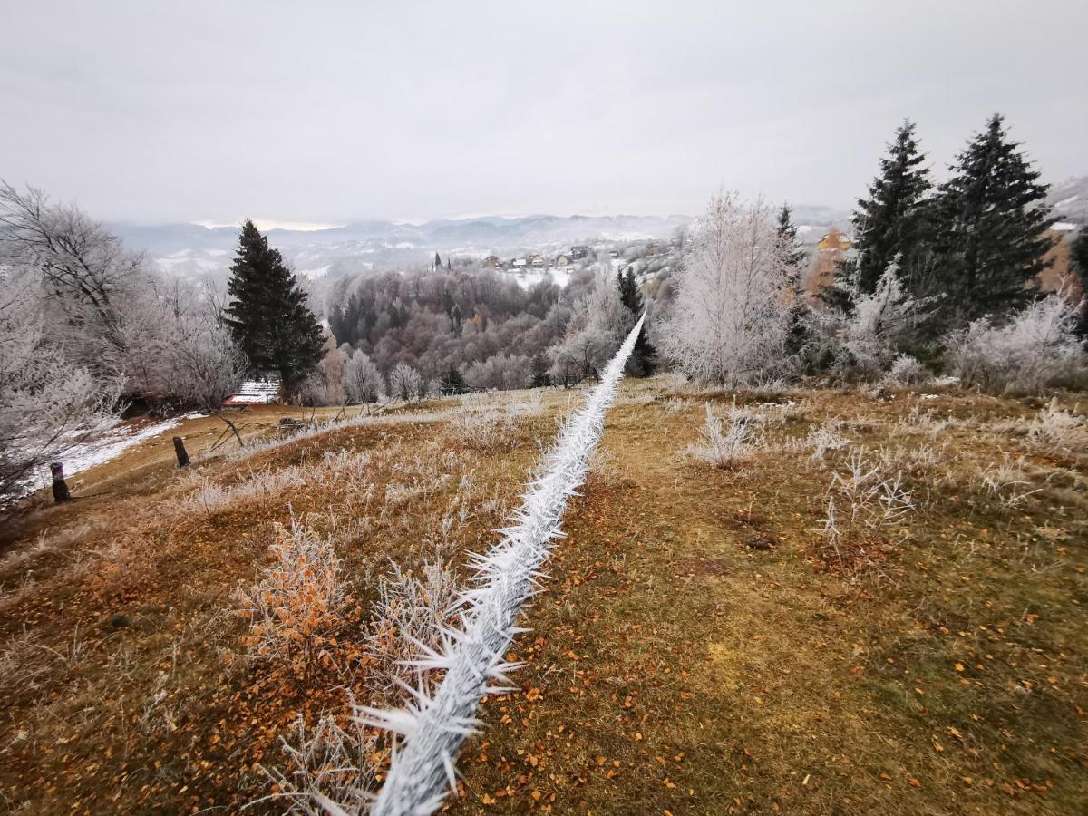 Pensiunea Tabacaru Peştera Exterior foto