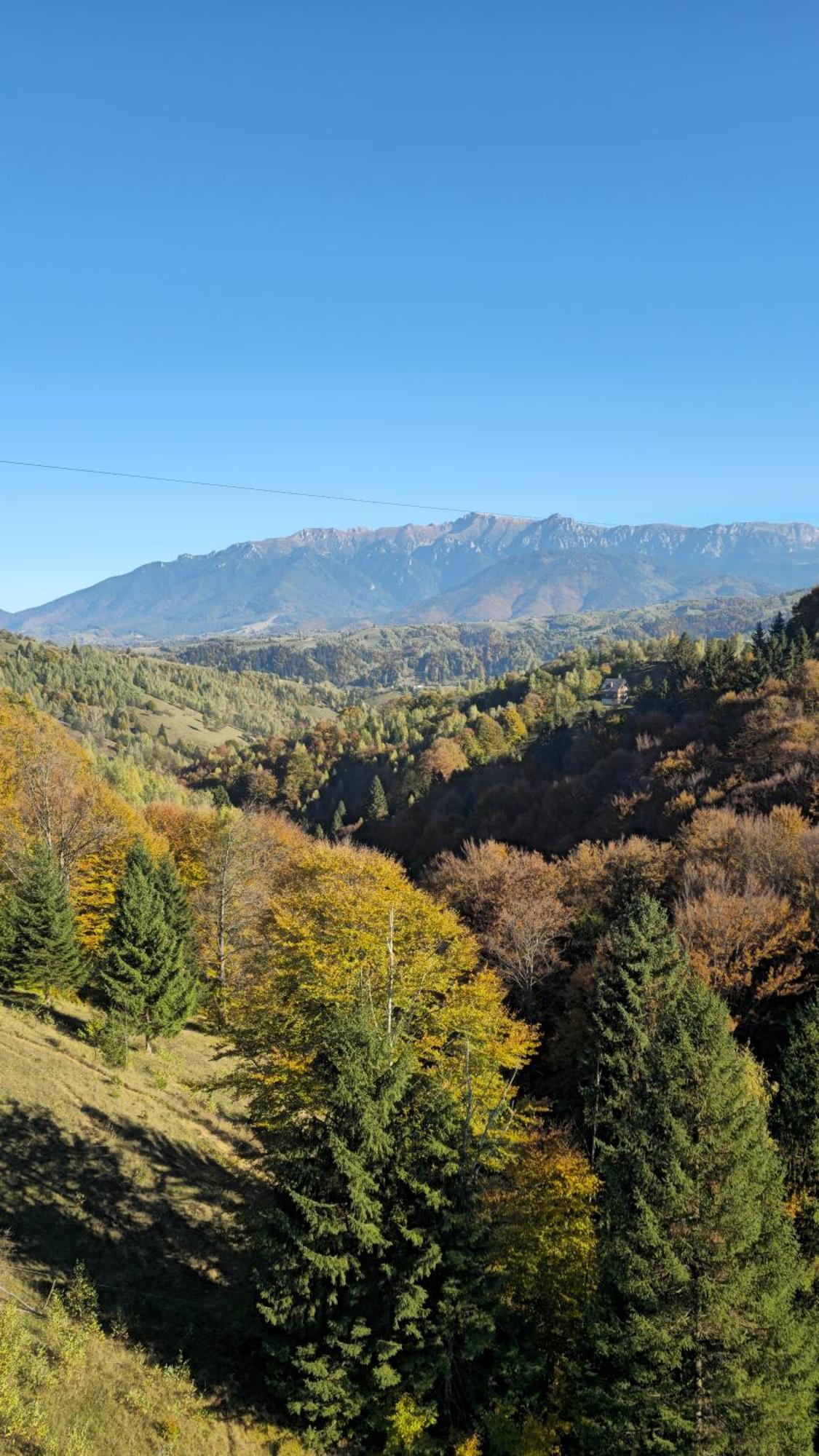 Pensiunea Tabacaru Peştera Exterior foto