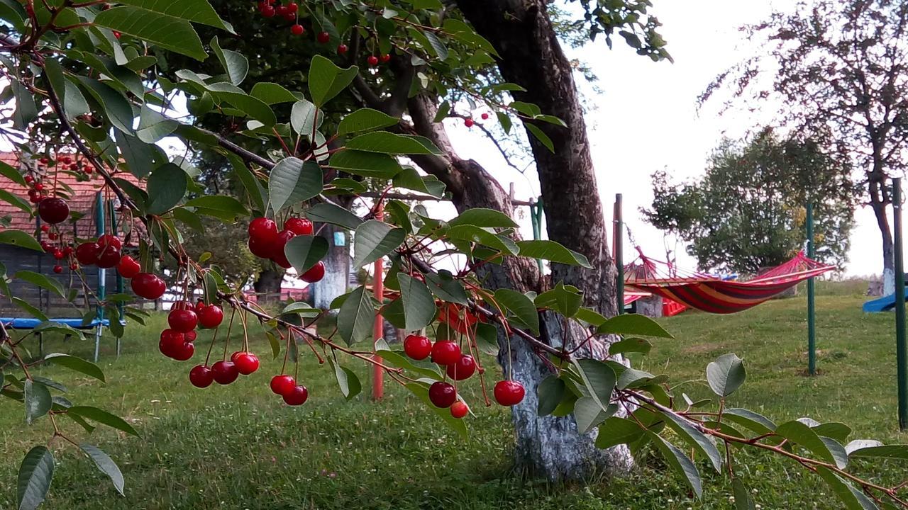 Pensiunea Tabacaru Peştera Exterior foto