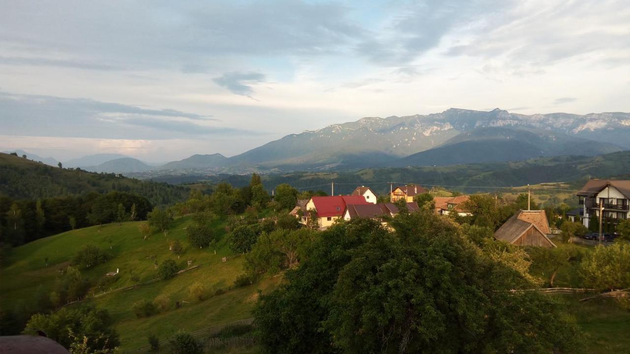 Pensiunea Tabacaru Peştera Exterior foto
