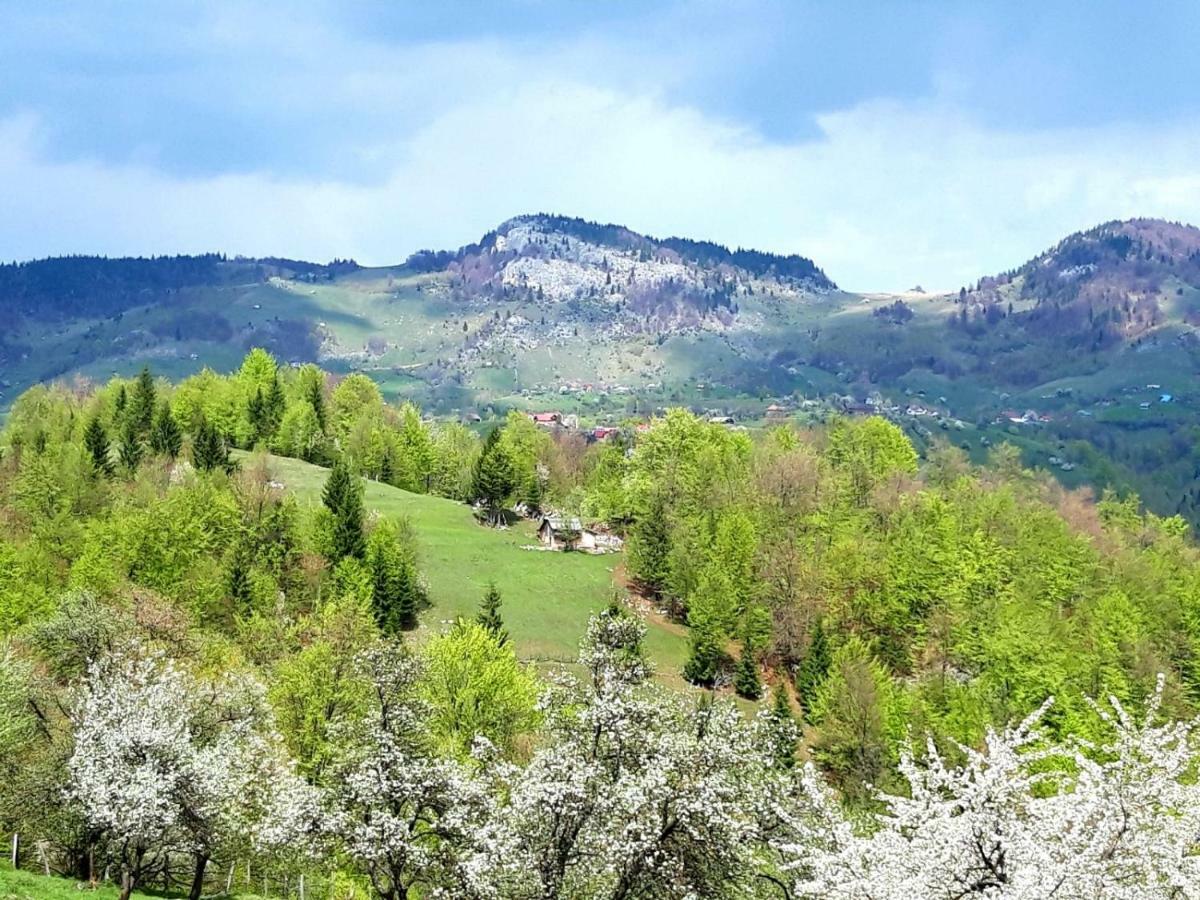 Pensiunea Tabacaru Peştera Exterior foto