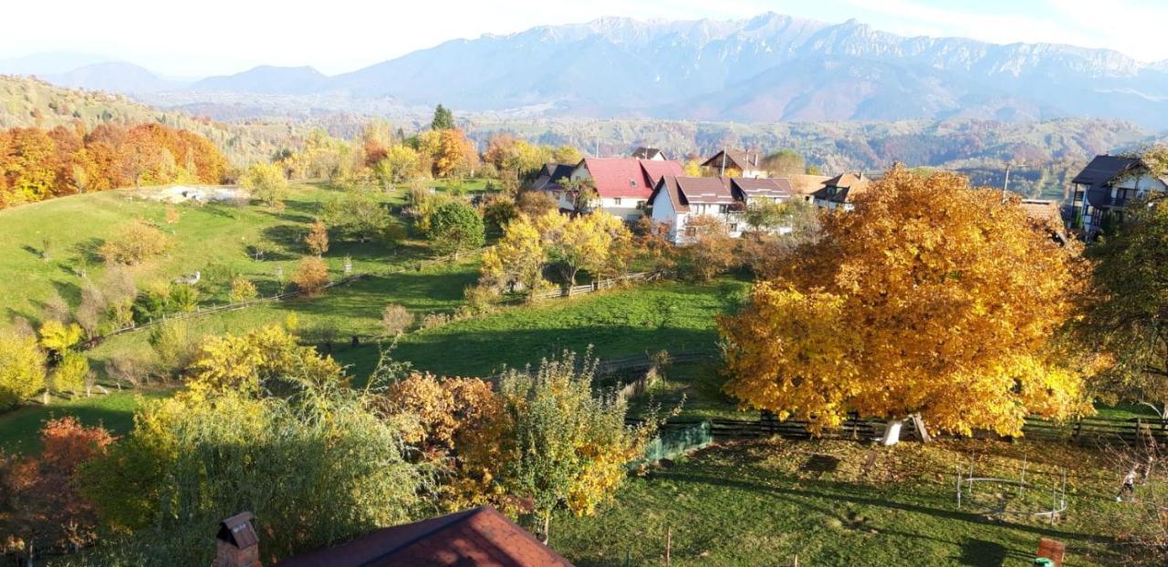 Pensiunea Tabacaru Peştera Exterior foto